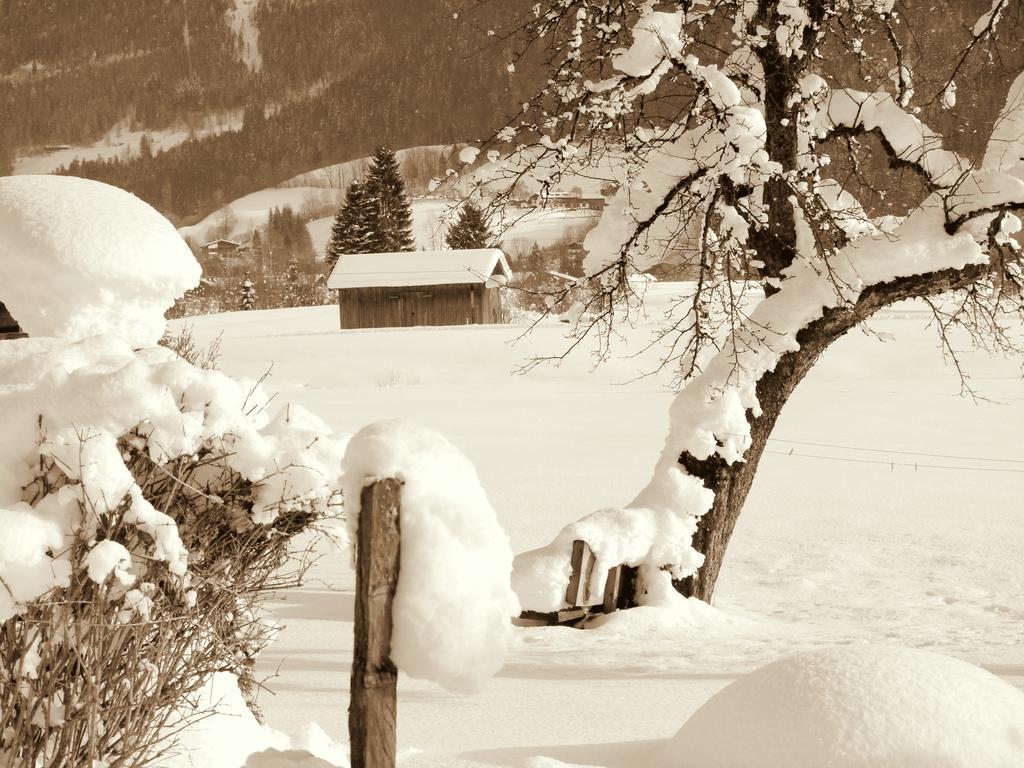 Haus Hohenwarter Hotell Lofer Rom bilde